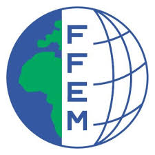 FFEM